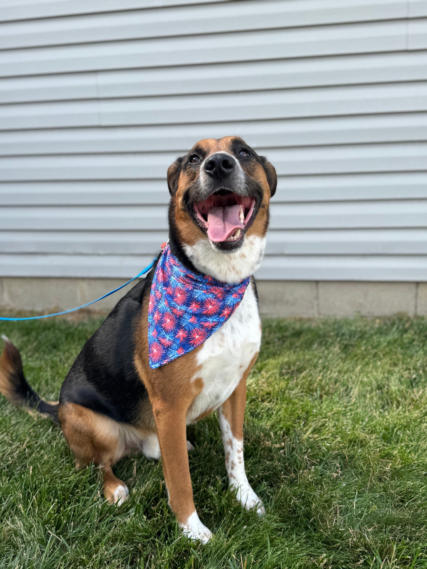 Fireworks Dog Bandana