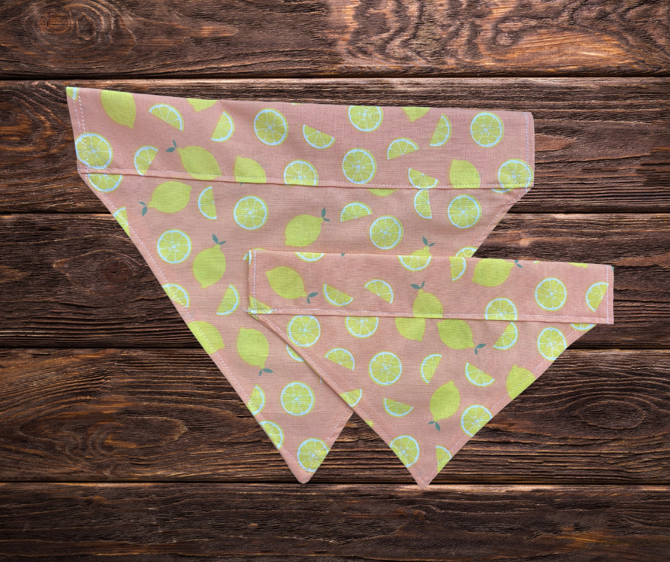 Lemon & Pink Dog Bandana