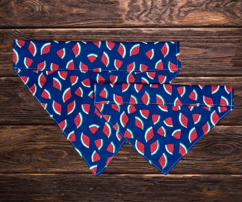 Navy Watermelon Dog Bandana