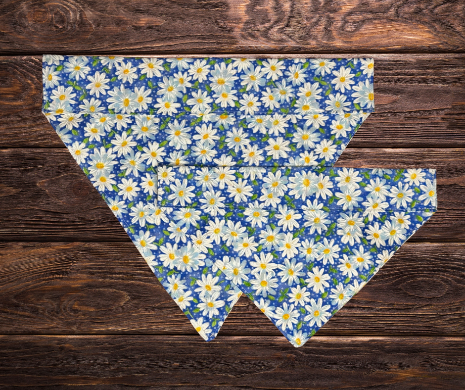 Blue Daisy Dog Bandana
