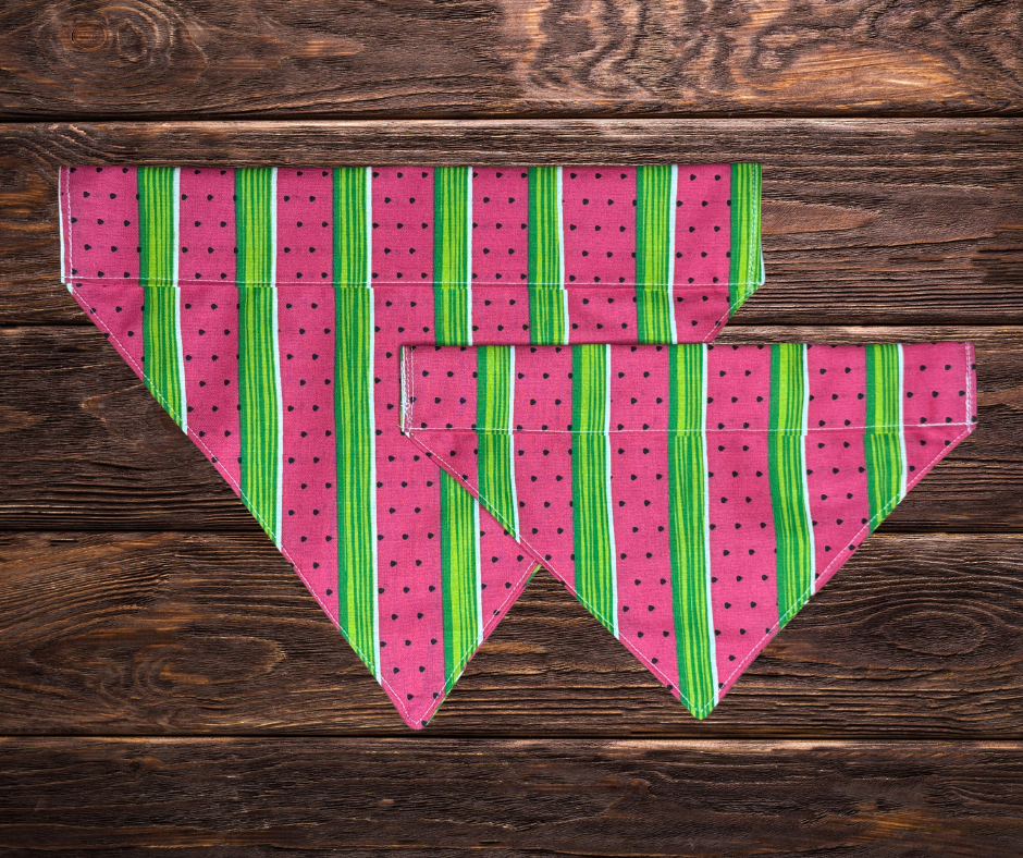 Watermelon Stripped Dog Bandana