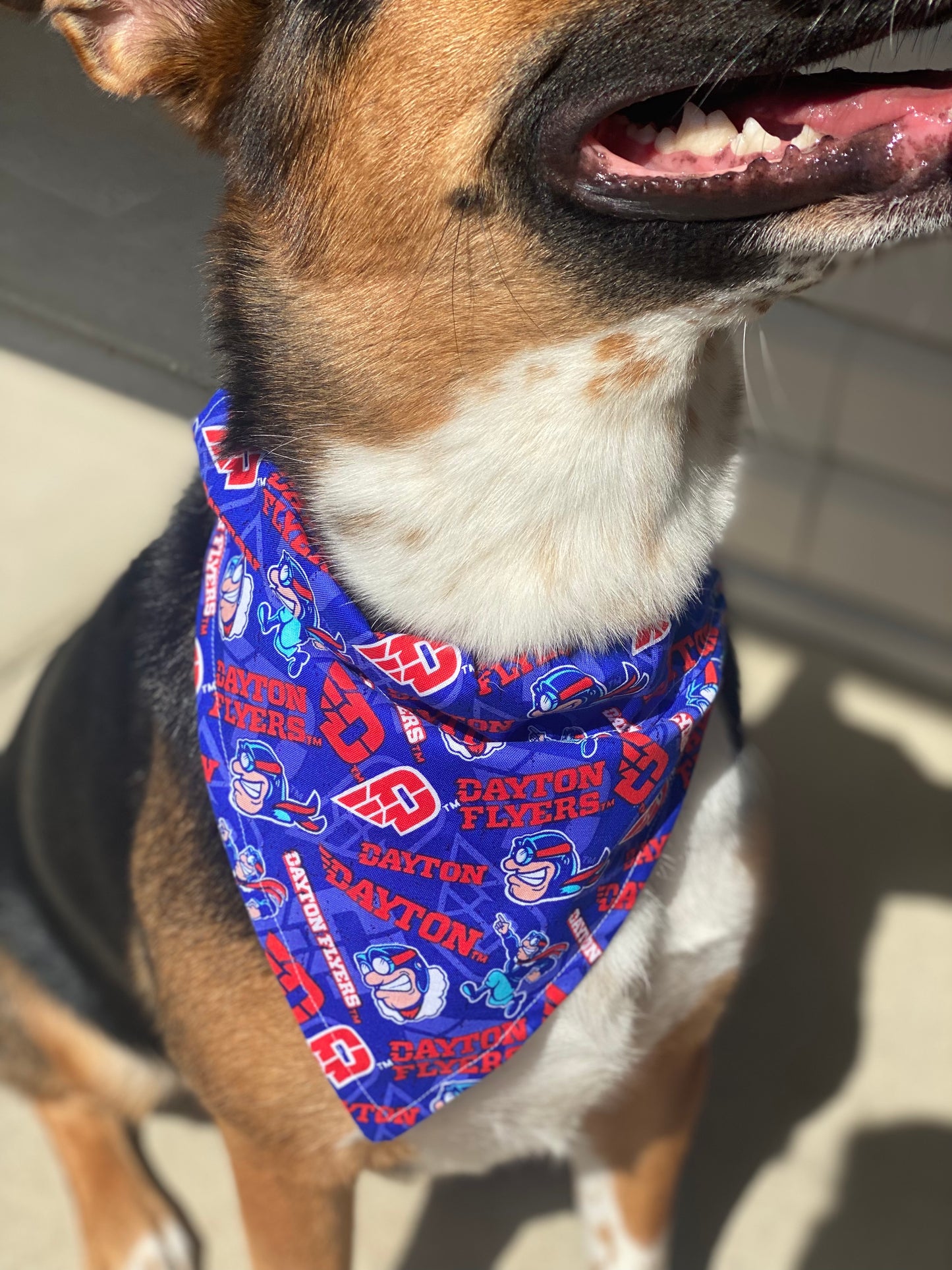 University of Dayton Dog Bandana