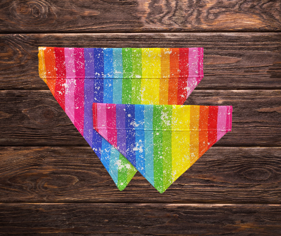 Rainbow Stripe Dog Bandana