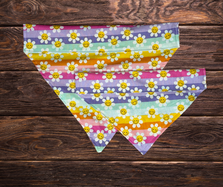 Colorful Daisy Stripped Dog Bandana