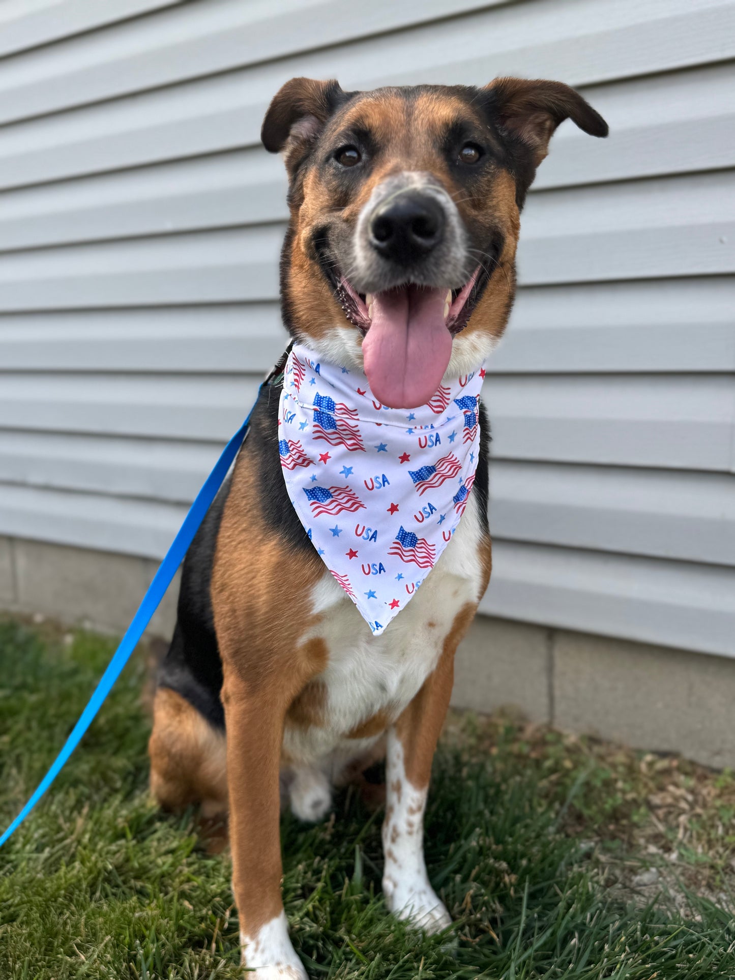 USA Flag Dog Bandana