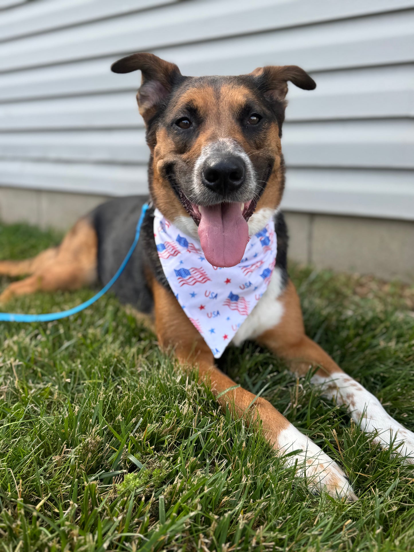 USA Flag Dog Bandana