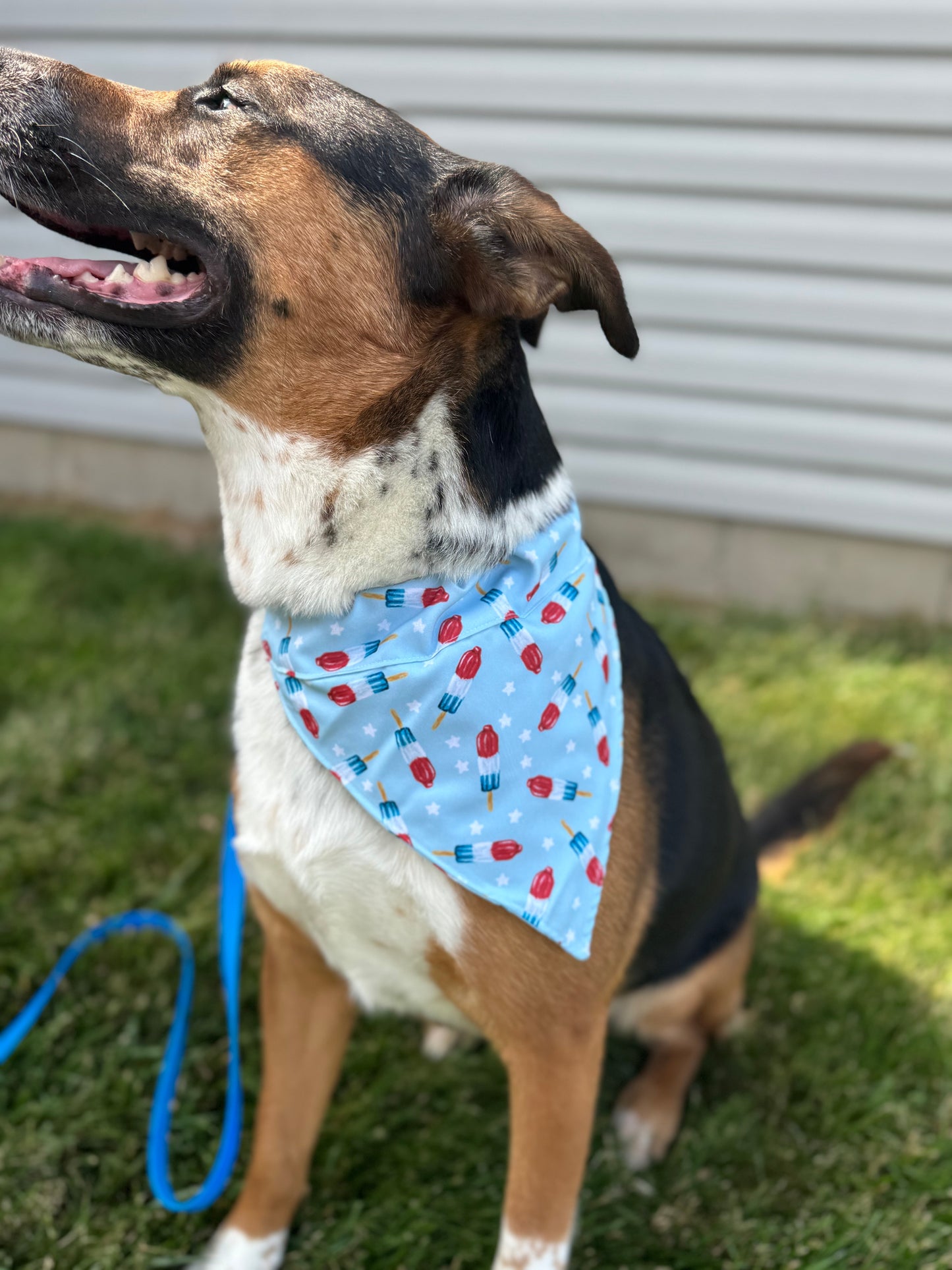Bomb Pop Dog Bandana