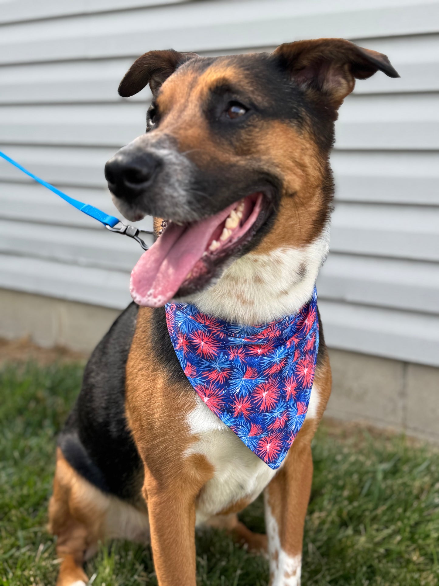 Fireworks Dog Bandana