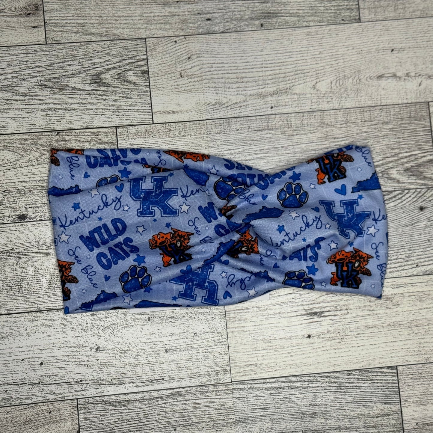 Wild Cats Headband