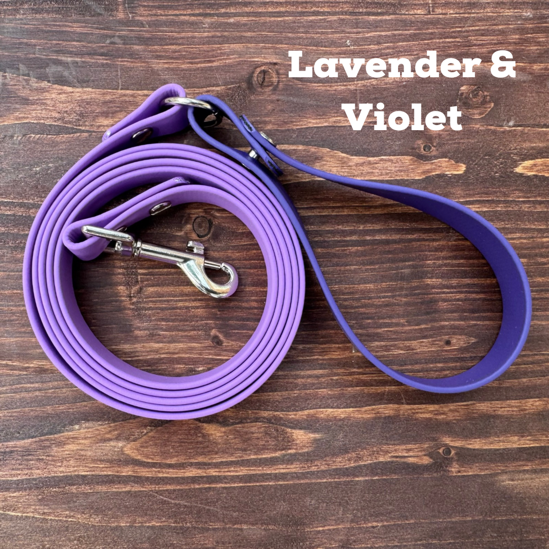 Biothane Dog Leash