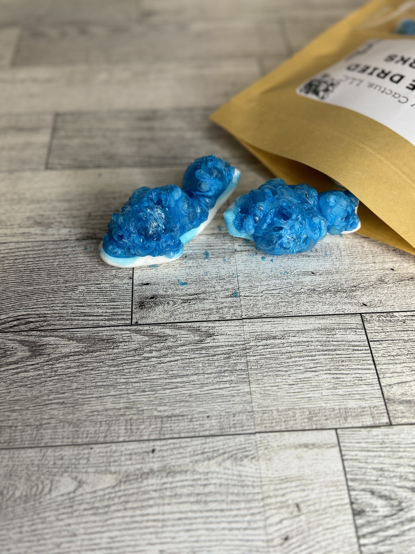 Freeze Dried Sharks