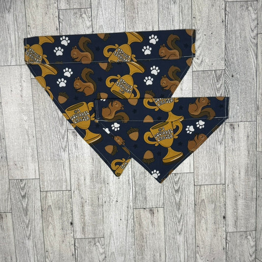 #1 Squirrel Chaser Dog Bandana
