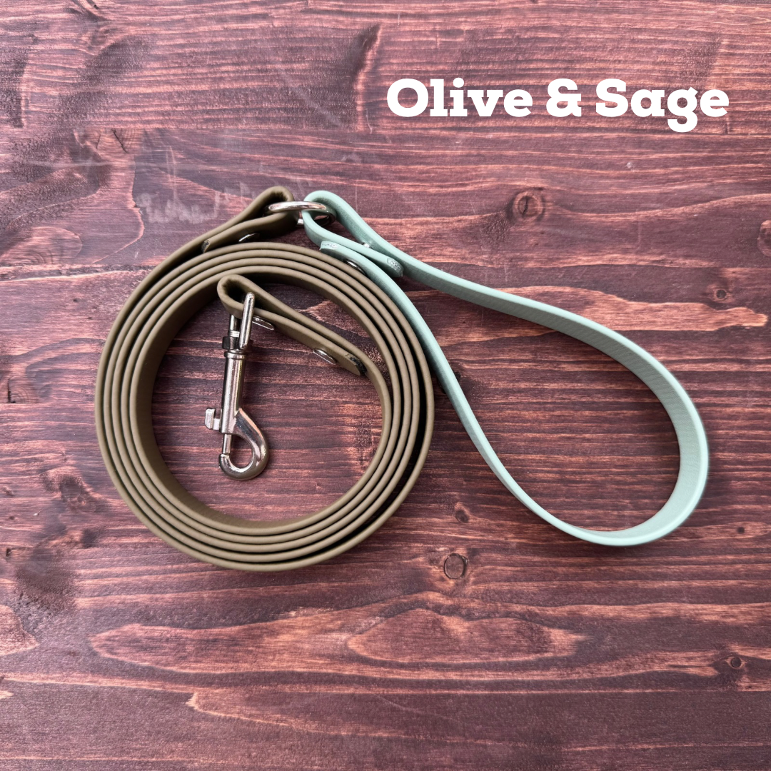 Biothane Dog Leash
