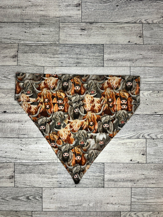Highland Cow Dog Bandana