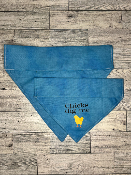 Chicks Dig Me - Light  blue Dog Bandana