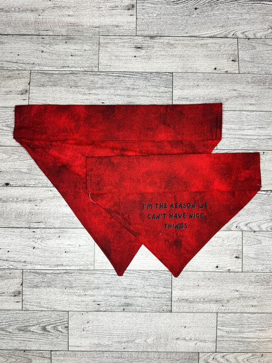 I'm The Reason -Red Dog Bandana